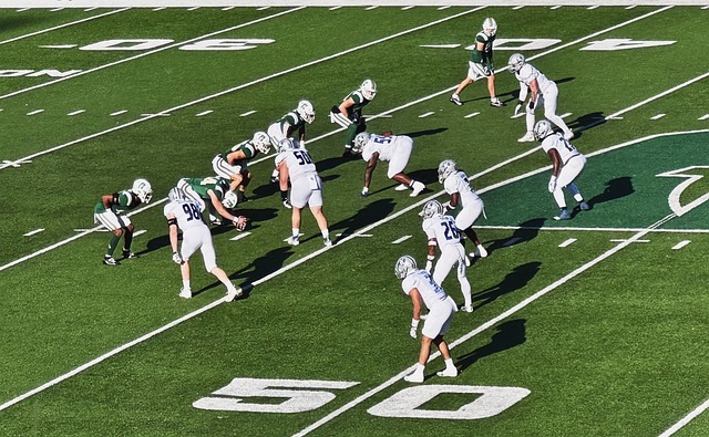 一些专家指 一些专家指