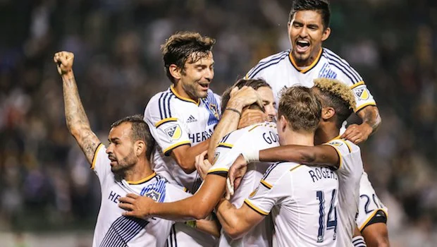 根据赛况灵 根据赛况灵